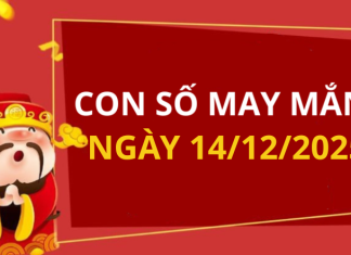 Con số may mắn hôm nay 14/12/2025 theo tuổi: Xem số cát giúp bạn đổi vận