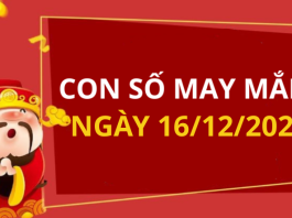 Con số may mắn hôm nay 16/12/2025 theo tuổi: Xem số hay có lộc ngay