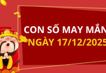 Con số may mắn hôm nay 17/12/2025 theo tuổi: Số thu hút tài lộc