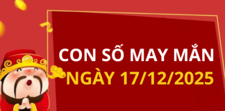 Con số may mắn hôm nay 17/12/2025 theo tuổi: Số thu hút tài lộc