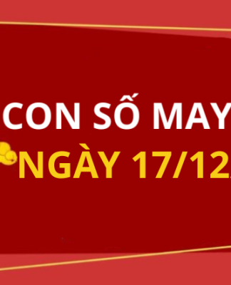 Con số may mắn hôm nay 17/12/2025 theo tuổi: Số thu hút tài lộc