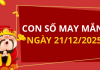 Con số may mắn hôm nay 21/12/2025 theo tuổi: Chọn số cát đổi vận