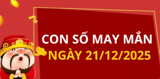 Con số may mắn hôm nay 21/12/2025 theo tuổi: Chọn số cát đổi vận