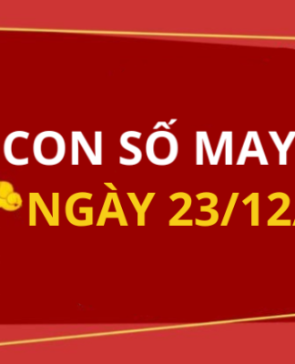 Con số may mắn hôm nay 23/12/2025 theo tuổi: Chọn số cát đổi vận tức thì