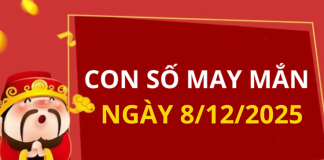 Con số may mắn hôm nay 8/12/2025 theo tuổi: Số giúp bạn đón lộc lớn