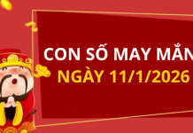 Con số may mắn hôm nay 11/1/2026 theo từng tuổi: Chọn đúng số giúp bạn phát tài