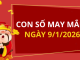 Con số may mắn hôm nay 9/1/2026 theo từng tuổi: Xem số vàng hợp tuổi bạn