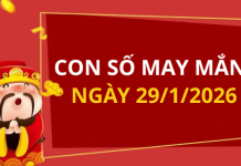 Con số may mắn hôm nay 29/1/2026 theo từng tuổi: Xem số hay có lộc ngay