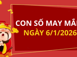 Con số may mắn hôm nay 6/1/2026 theo từng tuổi: Chọn số cát đổi vận