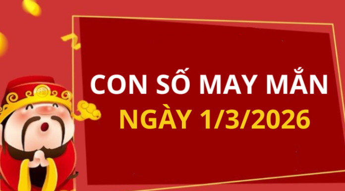 Con số may mắn hôm nay 1/3/2026 theo từng tuổi: Chọn số may giúp bạn đổi vận