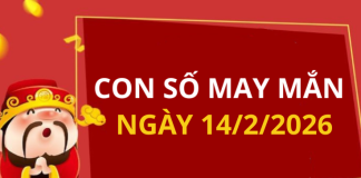 Con số may mắn hôm nay 14/2/2026 theo từng tuổi: Số tốt giúp bạn dễ đón lộc