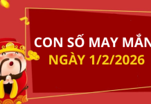 Con số may mắn hôm nay 1/2/2026 theo từng tuổi: Số thu hút tài lộc