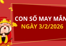 Con số may mắn hôm nay 3/2/2026 theo từng tuổi: Xem số cát giúp bạn đổi vận