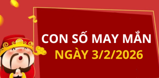 Con số may mắn hôm nay 3/2/2026 theo từng tuổi: Xem số cát giúp bạn đổi vận