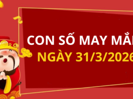 Con số may mắn hôm nay 31/3/2026 theo từng tuổi: Số may mắn giúp bạn phát tài