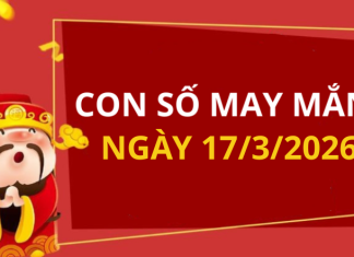 Con số may mắn hôm nay 17/3/2026 theo từng tuổi: Xem số cát giúp bạn đổi vận