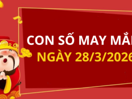 Con số may mắn hôm nay 28/3/2026 theo từng tuổi: Chọn số cát đổi vận tức thì