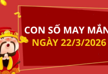 Con số may mắn hôm nay 22/3/2026 theo từng tuổi: Xem số vàng hợp tuổi bạn