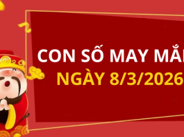 Con số may mắn hôm nay 8/3/2026 theo từng tuổi: Chọn số may giúp bạn đón lộc