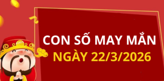 Con số may mắn hôm nay 22/3/2026 theo từng tuổi: Xem số vàng hợp tuổi bạn