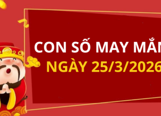 Con số may mắn hôm nay 25/3/2026 theo từng tuổi: Tìm số đẹp giúp bạn đổi vận