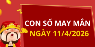 Con số may mắn hôm nay 11/4/2026 theo từng tuổi: Chọn số cát đổi vận tức thì