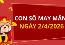 Con số may mắn hôm nay 2/4/2026 theo từng tuổi: Xem số vàng hợp tuổi bạn