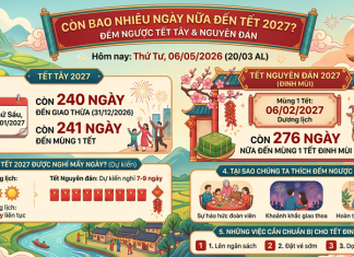 Còn bao nhiêu ngày nữa đến Tết 2027