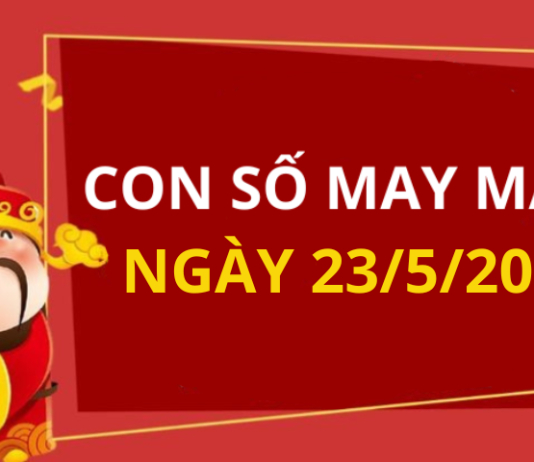 Con số may mắn hôm nay 23/5/2026 theo từng tuổi: Số hút lộc gấp bội tiền vàng về túi