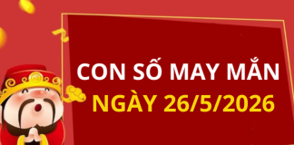 Con số may mắn hôm nay 26/5/2026 theo từng tuổi: Số giúp bạn đón lộc lớn