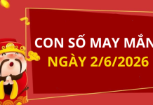 Con số may mắn hôm nay 2/6/2026 theo từng tuổi: Xem số vàng hợp tuổi bạn