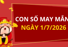 Con số may mắn hôm nay 1/7/2026 theo từng tuổi: Số đắc lộc cho tuổi của bạn