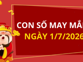 Con số may mắn hôm nay 1/7/2026 theo từng tuổi: Số đắc lộc cho tuổi của bạn